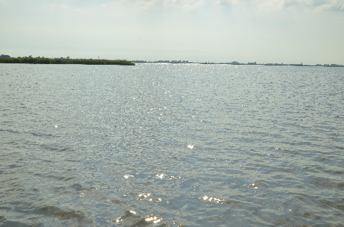 030.jpg